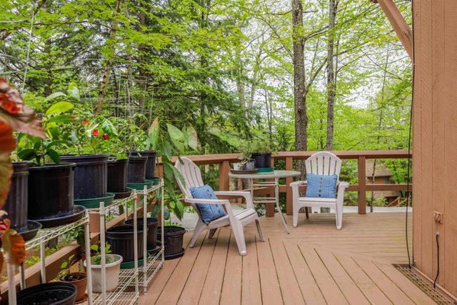 841 Cove Drive, Grantham, NH 03753