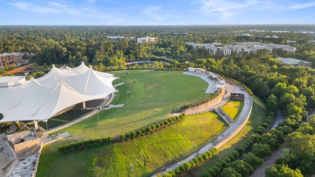 3 Belcarra Place, The Woodlands, TX 77382