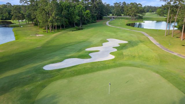 3 Belcarra Place, The Woodlands, TX 77382