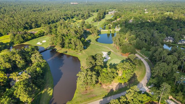 3 Belcarra Place, The Woodlands, TX 77382