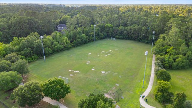 3 Belcarra Place, The Woodlands, TX 77382