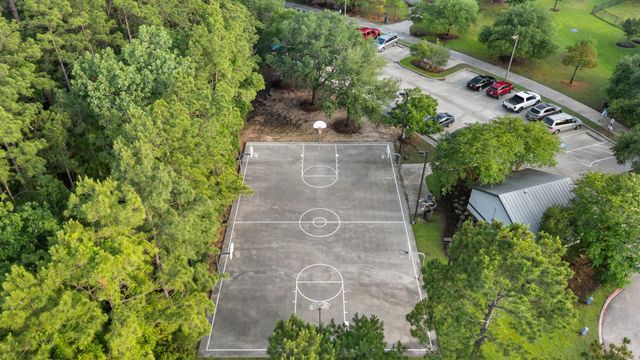 3 Belcarra Place, The Woodlands, TX 77382