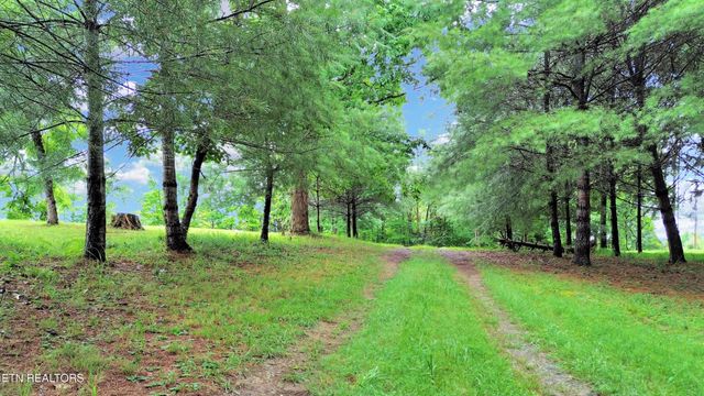 865 Ewing Rd, Spring City, TN 37381