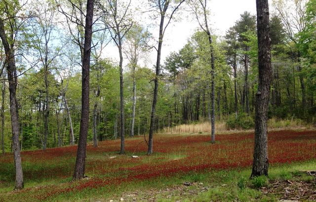 413 Cane Creek Road Lot 26, Dunlap, TN 37327