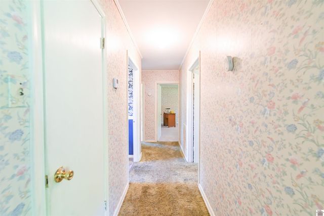 2325 State Route 564, Mayfield, KY 42066