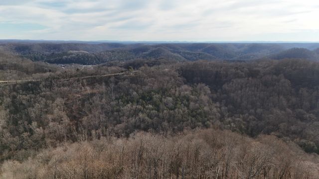 276 Schelley Rd, Gainesboro, TN 38562