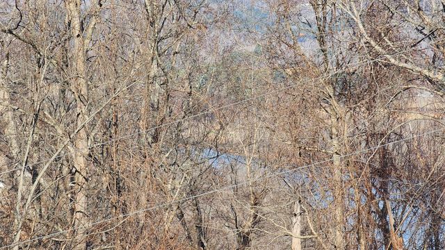 276 Schelley Rd, Gainesboro, TN 38562