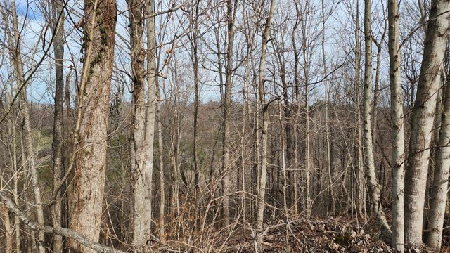 276 Schelley Rd, Gainesboro, TN 38562