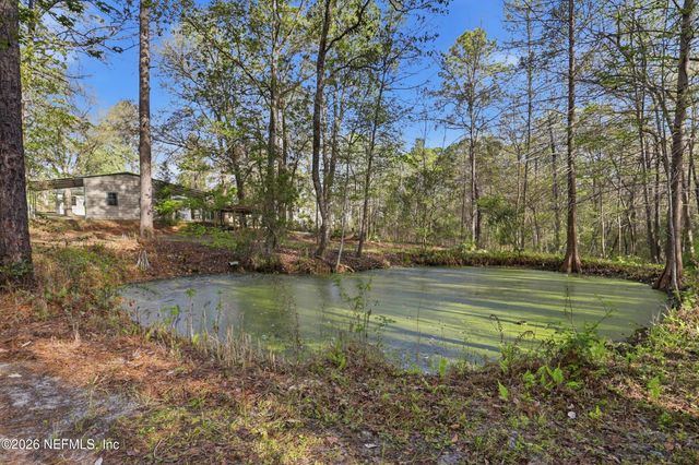 157 PLANKTON Avenue, Middleburg, FL 32068