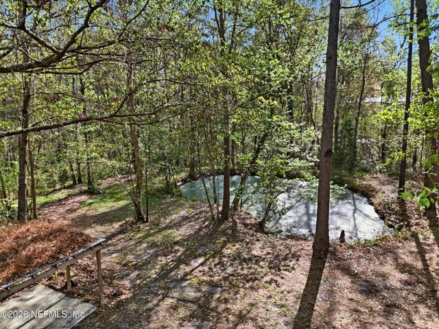 157 PLANKTON Avenue, Middleburg, FL 32068