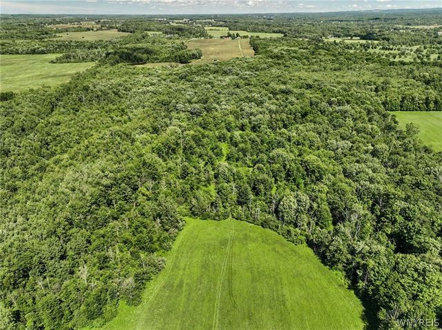 2983 Crittenden Road, Alden, NY 14004