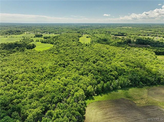 2983 Crittenden Road, Alden, NY 14004