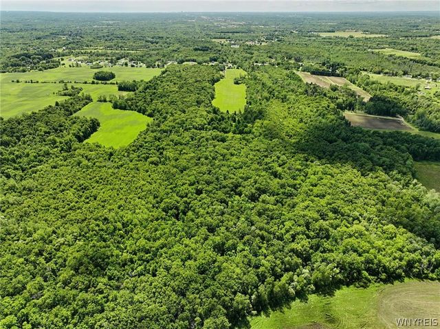 2983 Crittenden Road, Alden, NY 14004