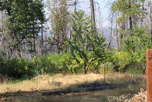 65 Starcrest Lane, Berry Creek, CA 95916