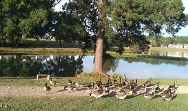 1114 Flyfish Avenue, Durham, NC 27703