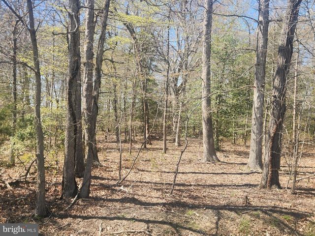 TOWER RD, Brandywine, MD 20613
