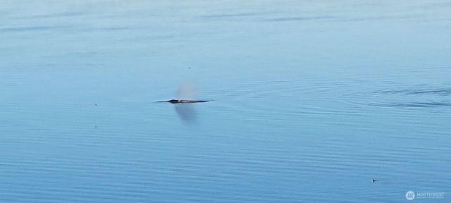 3817 Bells Beach Road, Langley, WA 98260