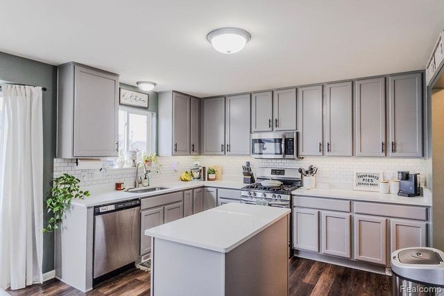 9010 Birch Pointe Drive, Berlin Charter Township, MI 48166