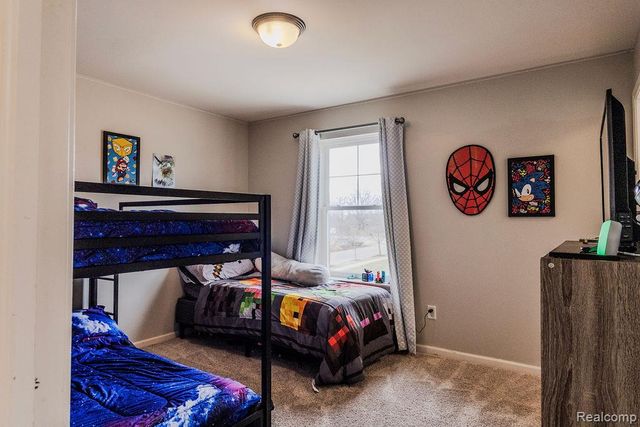 9010 Birch Pointe Drive, Berlin Charter Township, MI 48166