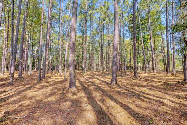 4250 Lilac Rd., Myrtle Beach, SC 29588
