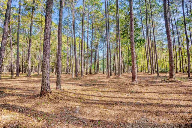4250 Lilac Rd., Myrtle Beach, SC 29588