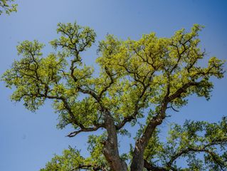 000 Little Creek RNCH, Johnson City, TX 78636