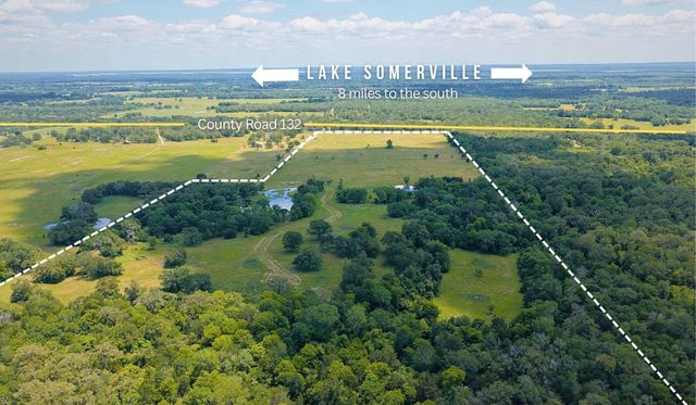 TBD County Road 132 - 74 Acres, Caldwell, TX 77836