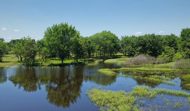 TBD County Road 132 - 74 Acres, Caldwell, TX 77836