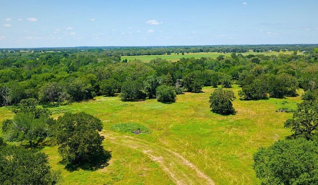 TBD County Road 132 - 74 Acres, Caldwell, TX 77836