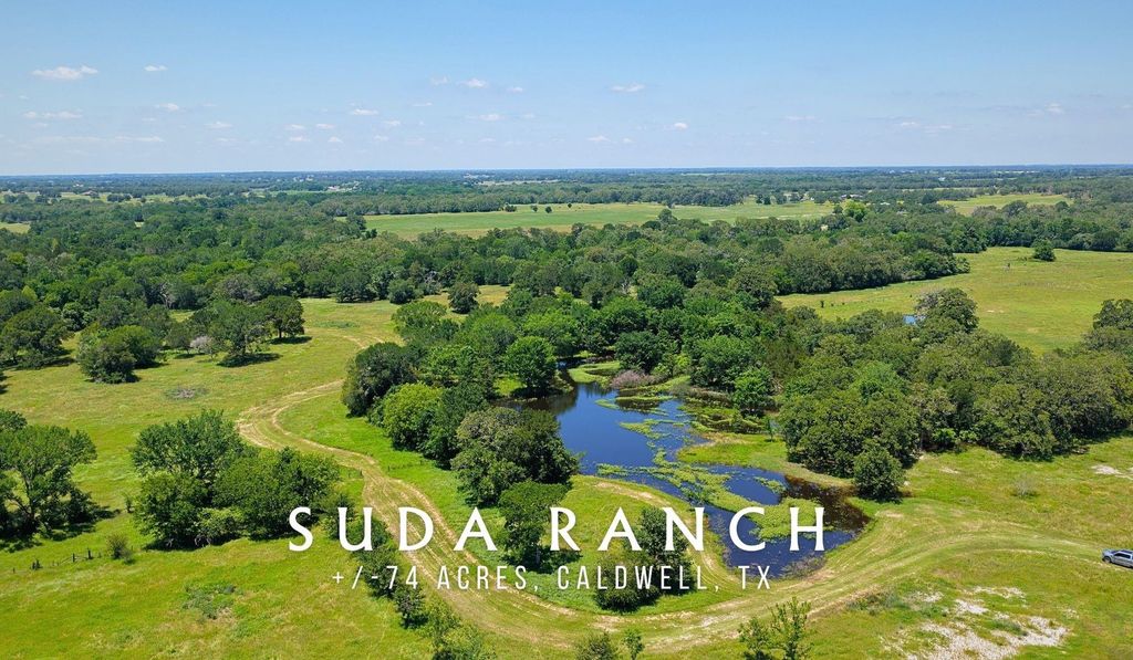 TBD County Road 132 - 74 Acres, Caldwell, TX 77836