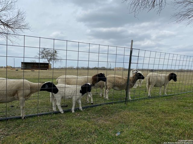 1149 STATE HIGHWAY 119, Stockdale, TX 78160