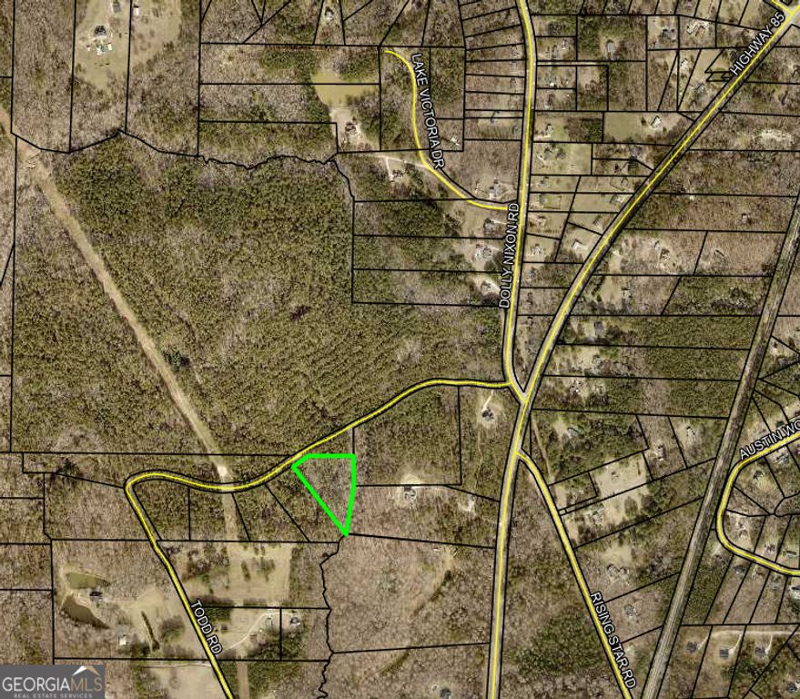 LOT 1 Todd Five, Senoia, GA 30276