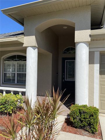 16709 FAIRBOLT WAY, Odessa, FL 33556