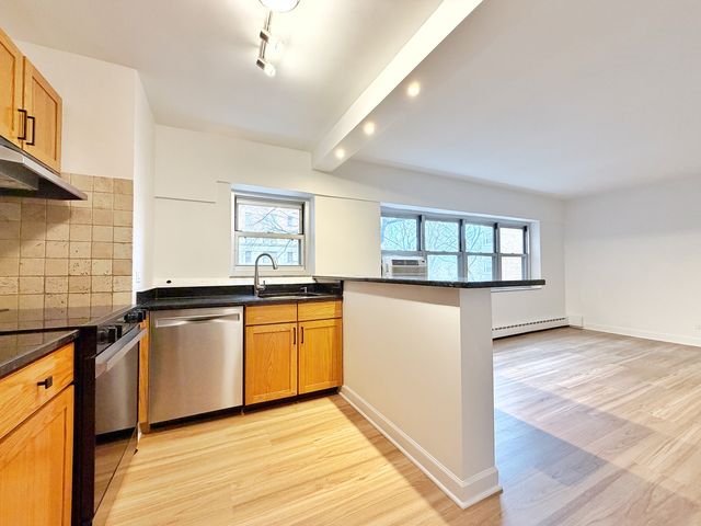 4970 N MARINE Drive 229, Chicago, IL 60640