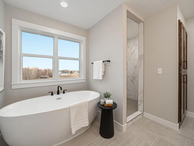 20648 Tamarack Street NW, Cedar, MN 55011