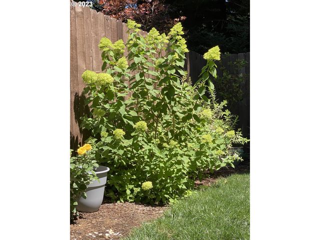 10705 Ne 156TH Ave, Vancouver, WA 98682