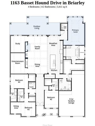 1163 Basset Hound Drive, Montgomery, TX 77316