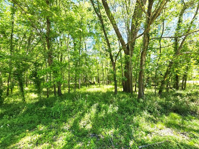 TBD County Road 2167c, Cleveland, TX 77327