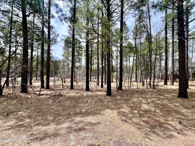 4024 LATIGO Way -, Pinetop, AZ 85935