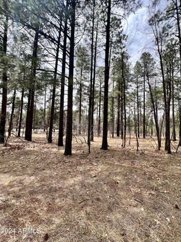4024 LATIGO Way -, Pinetop, AZ 85935