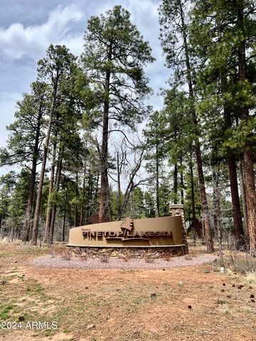 4024 LATIGO Way -, Pinetop, AZ 85935