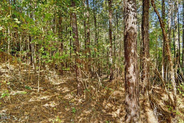 0 Andrew Denton Road, Louisburg, NC 27549