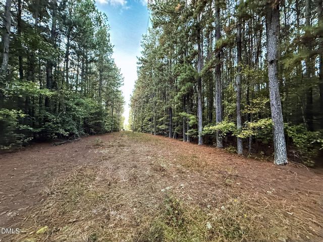 0 Andrew Denton Road, Louisburg, NC 27549