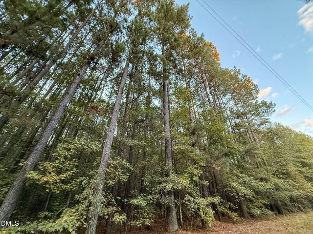 0 Andrew Denton Road, Louisburg, NC 27549