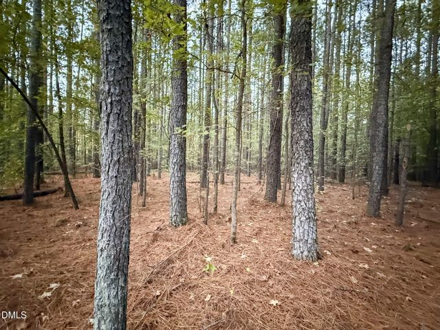 0 Andrew Denton Road, Louisburg, NC 27549