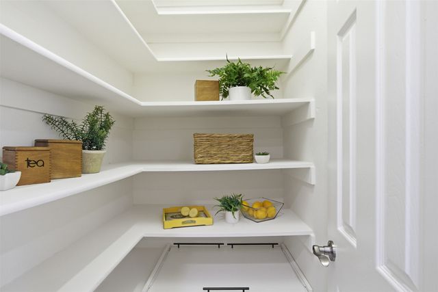 4437 English Oak Drive, Plano, TX 75024