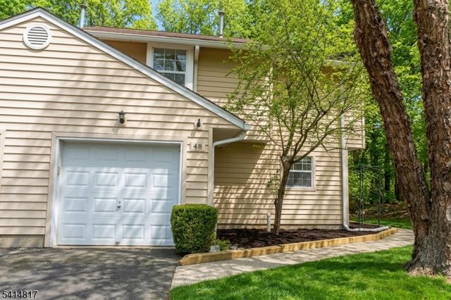 48 Rhea Run, Hampton Twp., NJ 07860