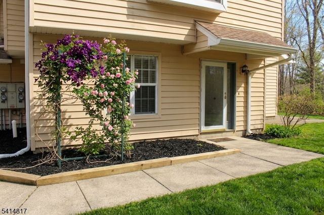 48 Rhea Run, Hampton Twp., NJ 07860