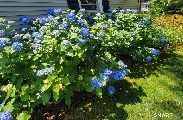 7 Old Forge Road, North Haven, CT 06473