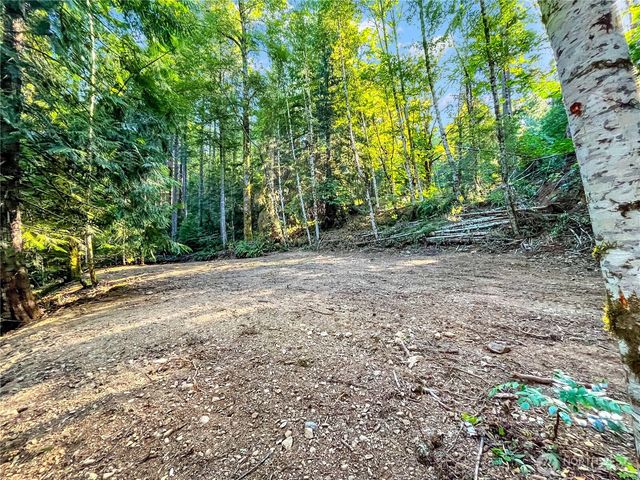 4840 N Lake Cushman Road, Hoodsport, WA 98548